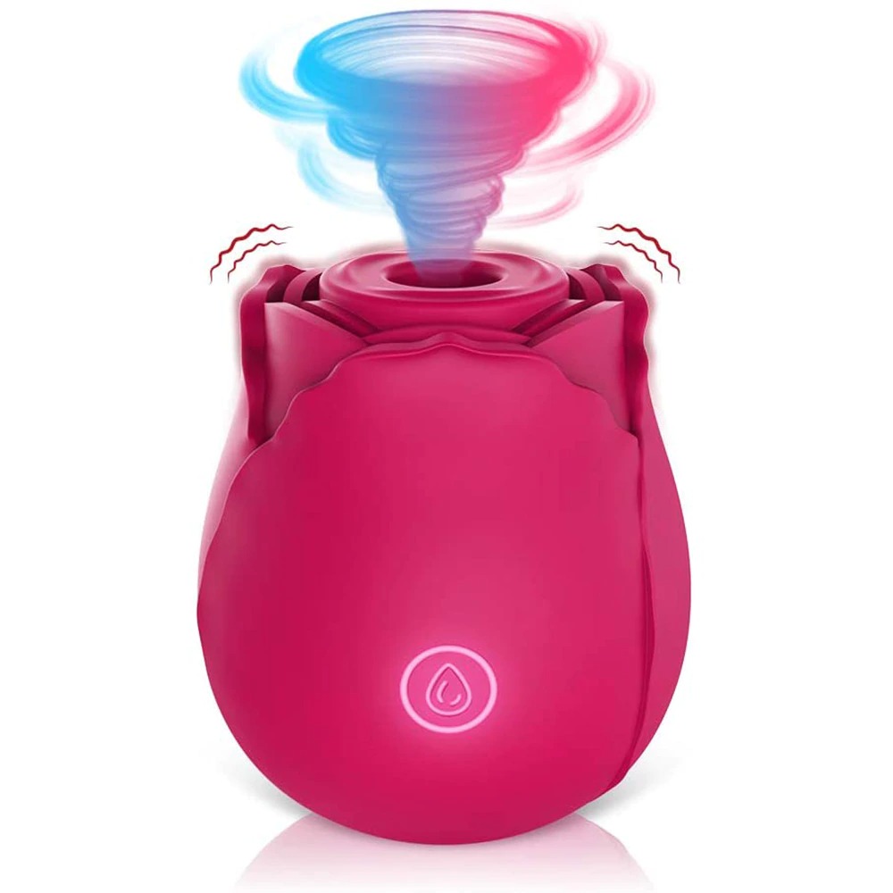 Jouet Rose Vibrateur pour Femmes 10 Mode de Vibration