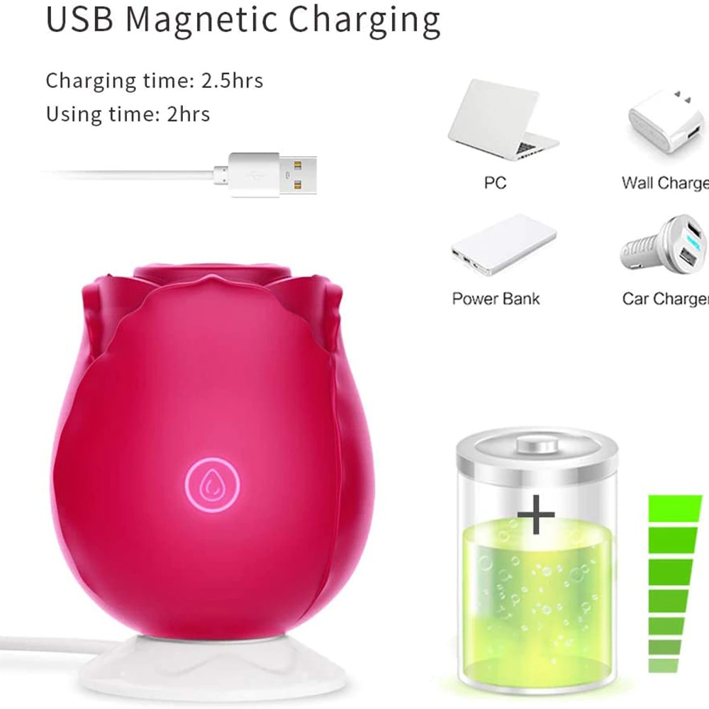 Rosa Vibratore giocattolo per le donne usb charing magnetico