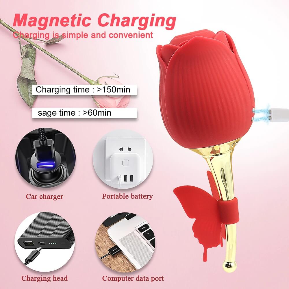 butterfly rose toy for woman magnetic charging