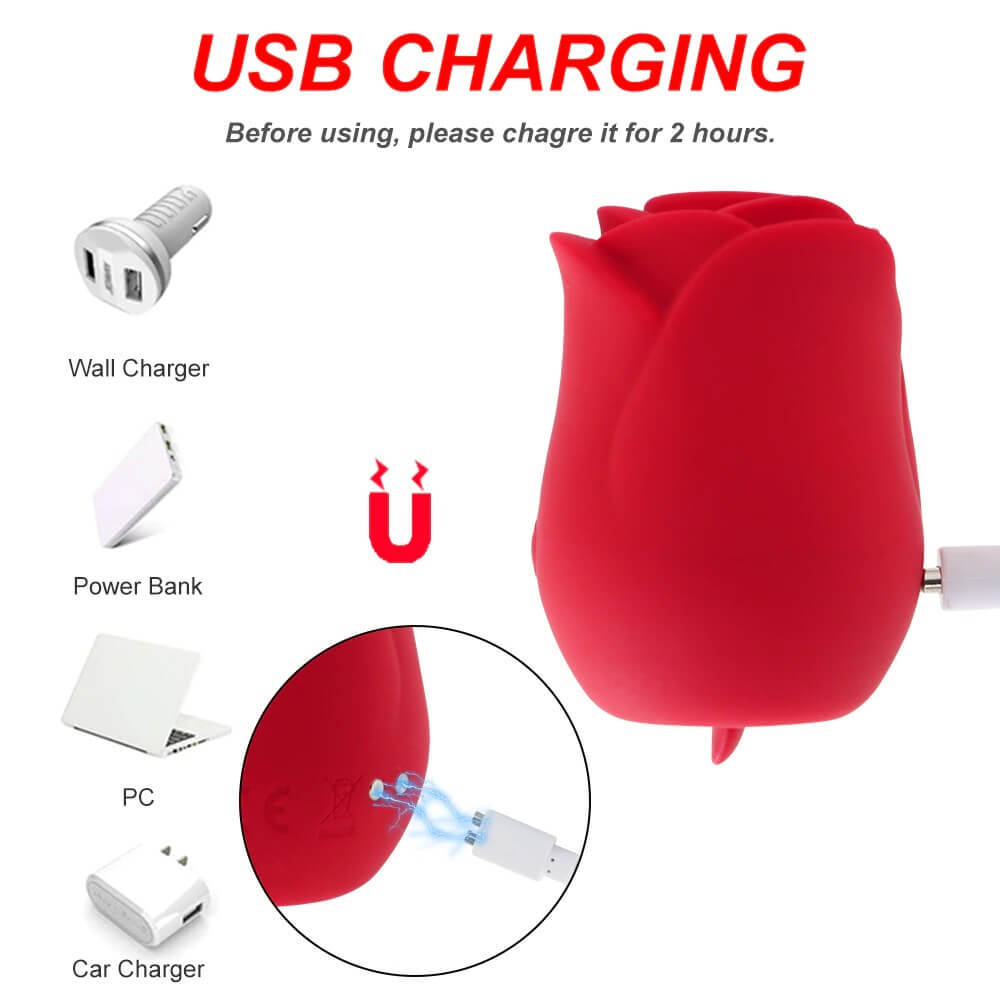 rosebud vibrator usb charging