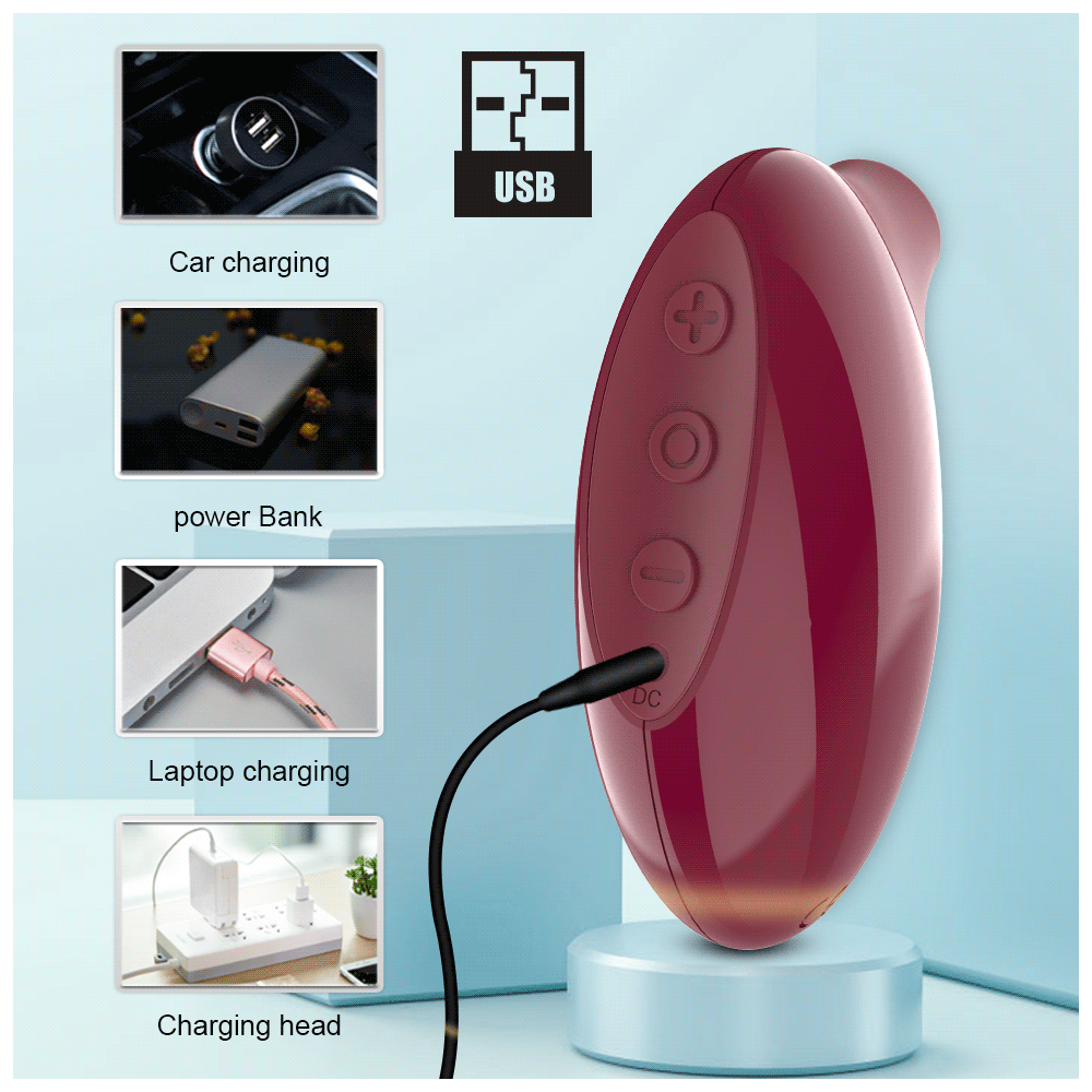 Succionador de clítoris Juguete rosa Carga USB
