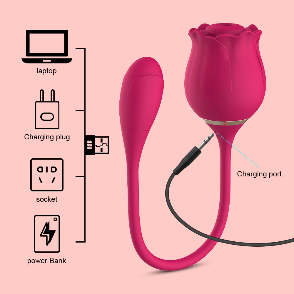 Jouet Rose double action rechargeable usb peut utiliser un ordinateur portable pour la charge