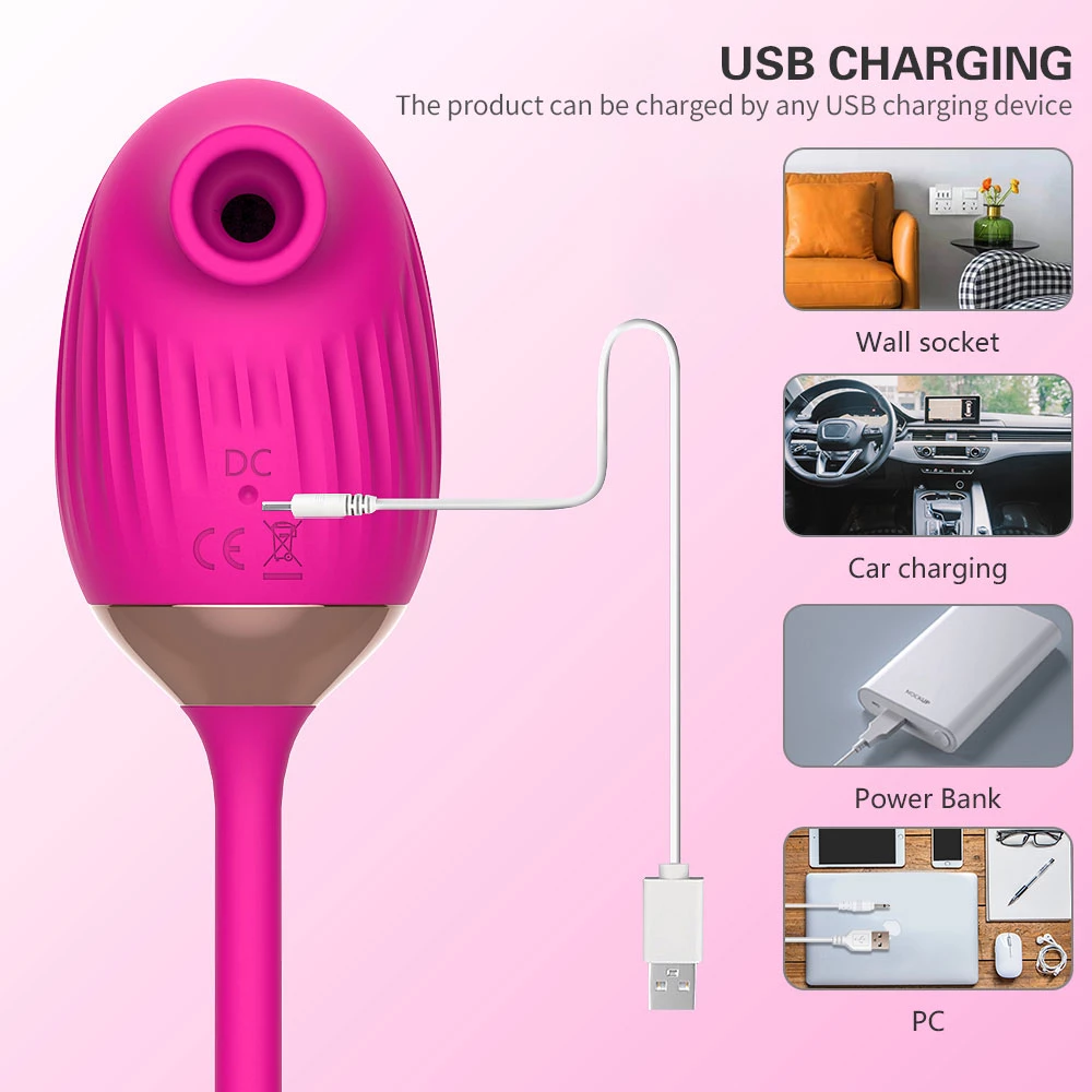 Double Ended Rose Toy usb charging