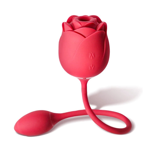 Roos speeltje met vibrerend ei voor vrouwen